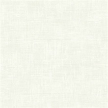 Off White Textured Plaster Wall Wallpaper