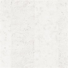 Off-White Concrete & Plaster