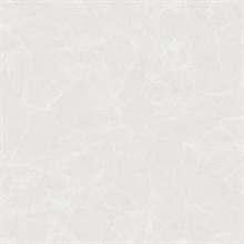 Off-White Spider Paint Crackle Wallpaper