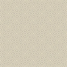 Omega Taupe Geometric