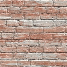 OOY36311