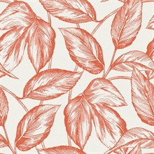 Orange Beckett Sketched Leaves Wallpaper