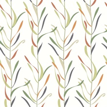 Orange &amp; Green Chloe Vine Vertical Stripe Wallpaper