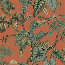Orange Jungle Cat Jaguars & Monkeys Animal Wallpaper