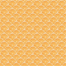 Orange Lemon Citrus Slice Scallop Wallpaper