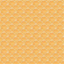 Orange Lemon Citrus Slice Scallop Wallpaper