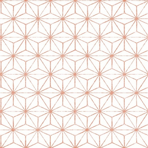 Orion Coral Geometric