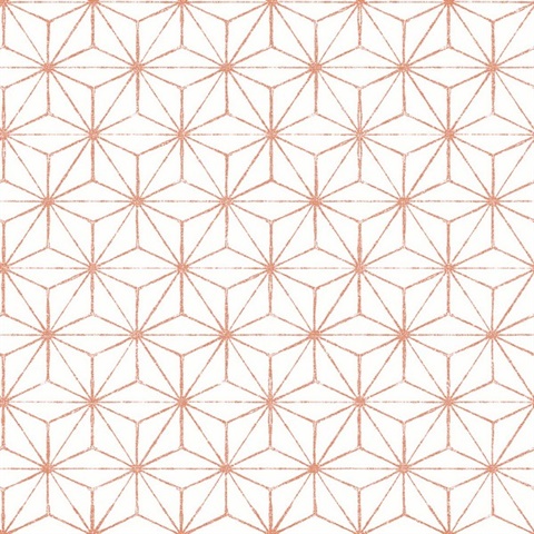 Orion Coral Geometric