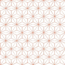 Orion Coral Geometric