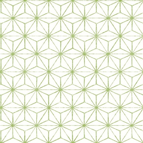 Orion Green Geometric