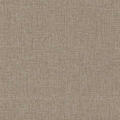 Orleans Counting Glass