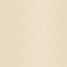 Ostinato Beige Geometric