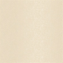 Ostinato Beige Geometric