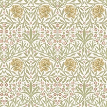 Oxford Union Yellow Floral Vines Wallpaper