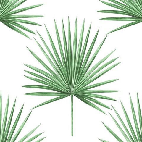 Pacific Palm Botanical Greenery Peel and Stick Wallpaper