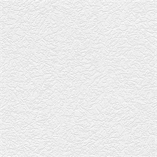 Paintable Wallpaper, PAINT902