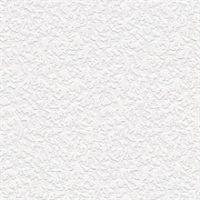 Paintable Wallpaper, PAINT908