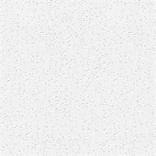 Paintable Wallpaper, PAINT909