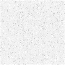 Paintable Wallpaper, PAINT909