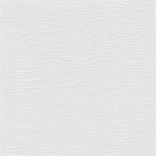 Paintable Wallpaper, PAINT923