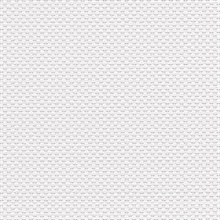 Paintable Wallpaper, PAINT926