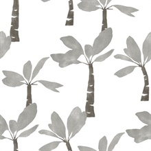Painted Oasis Carbon & Graphite Wallpaper
