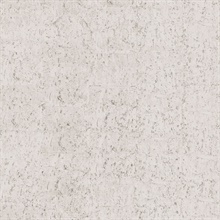 Pale Grey & Silver Cork Wallpaper