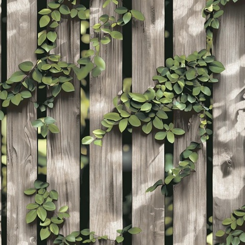 Palisade Brown Wallpaper