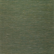 Pallavi Olive