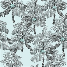 Palm Beach Botanical Sky Blue & Black Peel and Stick Wallpaper