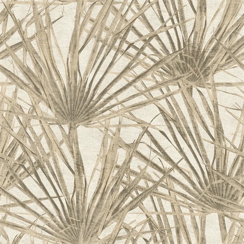 Palm Cream Wallpaper