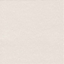 Palm Fiber