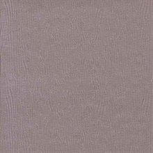 Palm Fiber