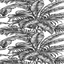 Palm Jungle Botanical Ebony & Pearl Peel and Stick Wallpaper