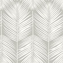 Palm Silhouette Botanical Harbor Gray Peel and Stick Wallpaper