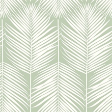 Palm Silhouette Botanical Pastel Green Peel and Stick Wallpaper