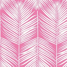 Palm Silhouette Botanical Pink Peel and Stick Wallpaper