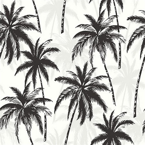 Palm Trees