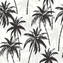 Palm Trees