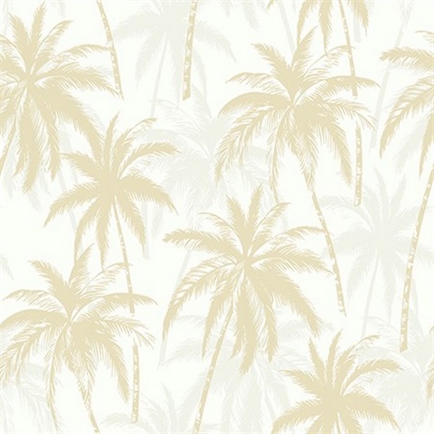 Palm Trees