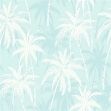 Palm Trees