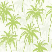 Palm Trees