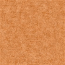 Pampas Plain Brushed Texture Apricot Orange Wallpaper