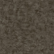 Pampas Plain Brushed Texture Black Wallpaper