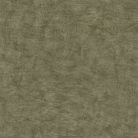 Pampas Plain Brushed Texture Burnt Olive Wallpaper