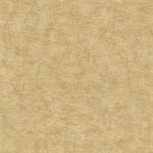 Pampas Plain Brushed Texture Honey Mustard Wallpaper