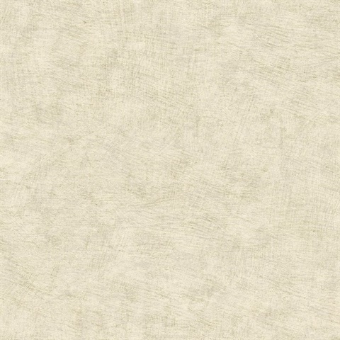 Pampas Plain Brushed Texture Ivory Wallpaper
