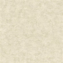 Pampas Plain Brushed Texture Ivory Wallpaper