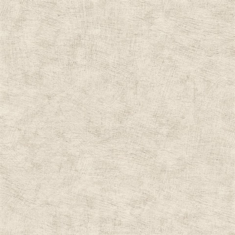 Pampas Plain Brushed Texture Light Grey Wallpaper
