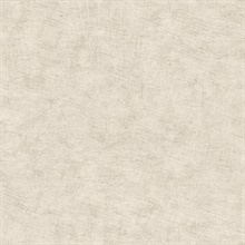 Pampas Plain Brushed Texture Light Grey Wallpaper